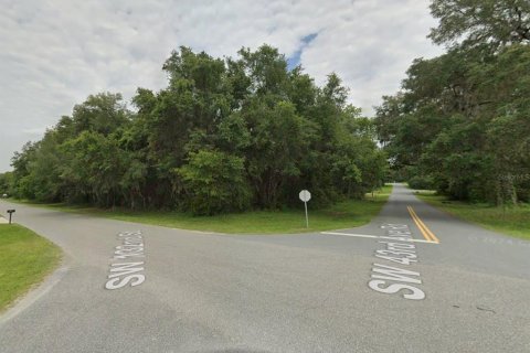 Terreno en venta en Ocala, Florida № 2165520 - foto 4