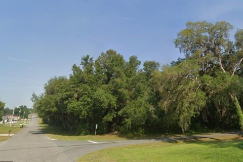 Terreno en venta en Ocala, Florida № 2165520 - foto 6