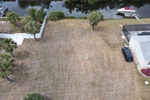 Land in Port Charlotte, Florida № 1670142 - photo 7