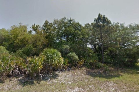 Land in Port Charlotte, Florida № 2162541 - photo 2