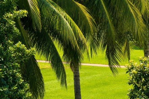 Condo in Boynton Beach, Florida, 2 bedrooms № 2346828 - photo 11