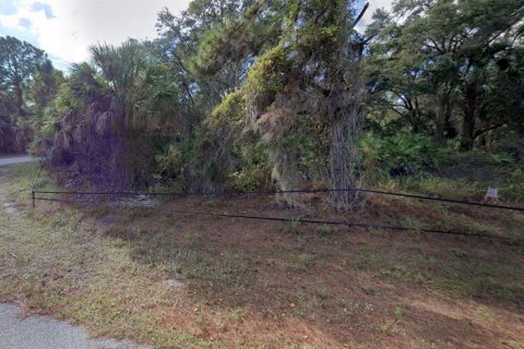Land in Port Charlotte, Florida № 2162748