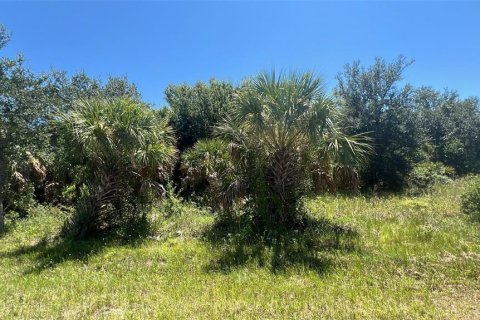 Land in Port Charlotte, Florida № 2224144