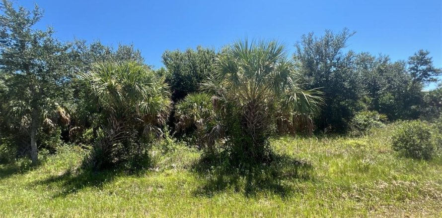 Land in Port Charlotte, Florida № 2224144