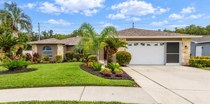 Villa ou maison à New Port Richey, Floride 3 chambres, 169.45 m2 № 2431841
