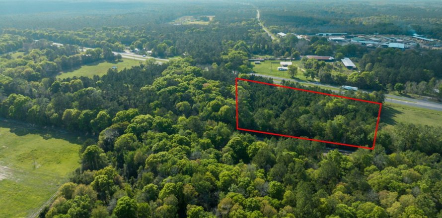 Land in Lawtey, Florida № 766352