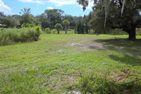 Villa ou maison à vendre à New Port Richey, Floride: 3 chambres, 179.86 m2 № 2430528 - photo 13