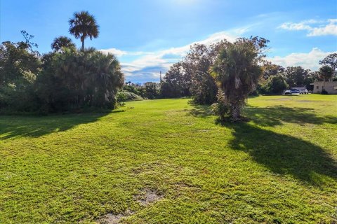 Terrain à vendre à South Daytona, Floride № 2116242 - photo 21