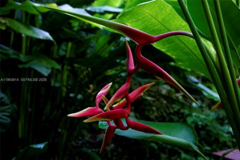 Villa ou maison à vendre à Miami, Floride: 3 chambres, 476.4 m2 № 2026198 - photo 20