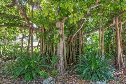 Villa ou maison à vendre à Miami, Floride: 3 chambres, 476.4 m2 № 2026198 - photo 14