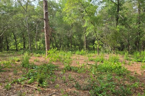 Land in Hernando, Florida № 1788971 - photo 30
