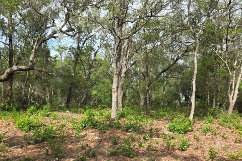 Land in Hernando, Florida № 1788971 - photo 25