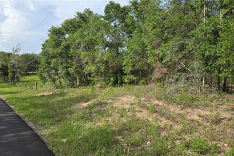 Land in Hernando, Florida № 1788971 - photo 17