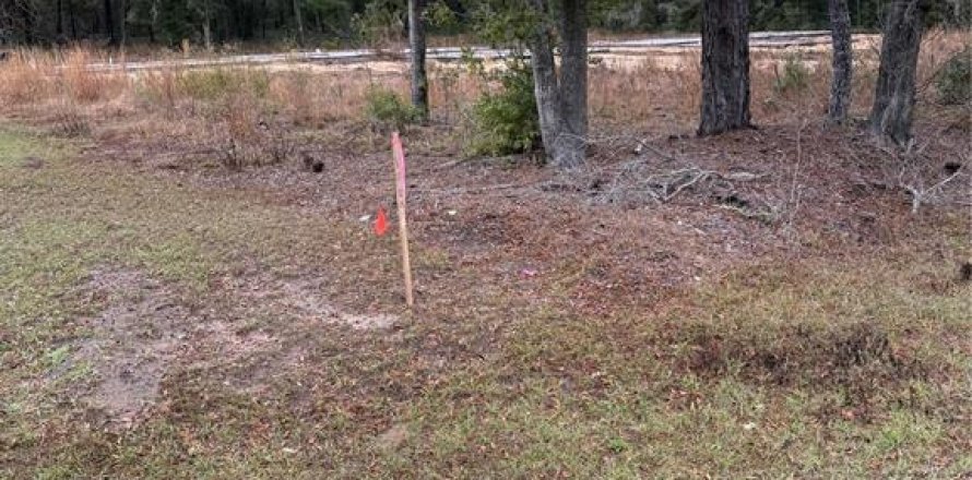 Terrain à Dunnellon, Floride № 2233444