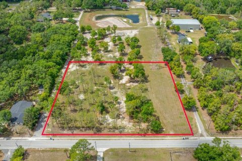 Land in Lutz, Florida № 2239899