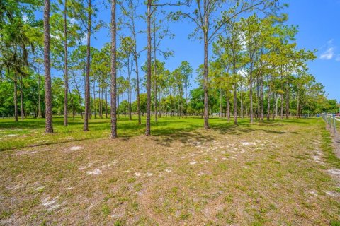 Terrain à vendre à Lutz, Floride № 2239899 - photo 29