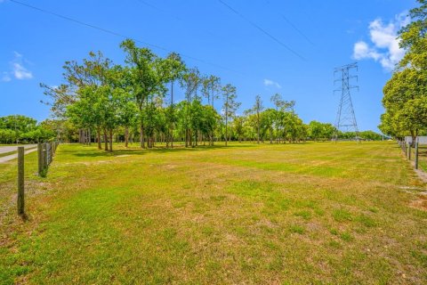 Terrain à vendre à Lutz, Floride № 2239899 - photo 28