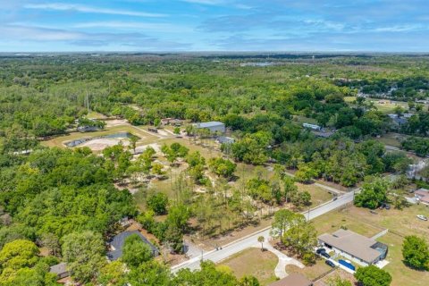 Terrain à vendre à Lutz, Floride № 2239899 - photo 6