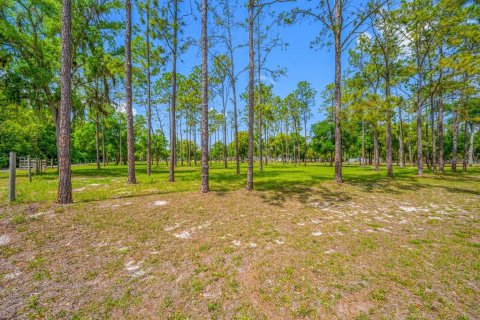 Terrain à vendre à Lutz, Floride № 2239899 - photo 30