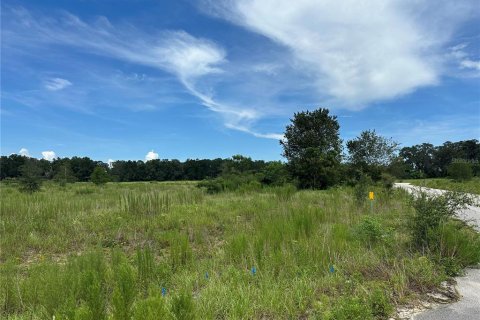 Terreno en venta en Ocala, Florida № 1868937 - foto 4