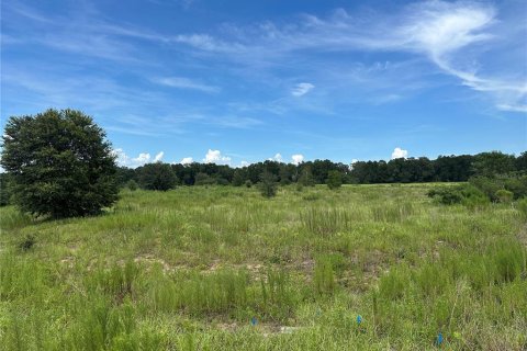 Terreno en venta en Ocala, Florida № 1868937 - foto 6