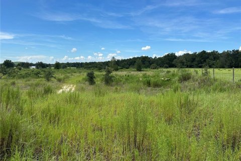Terreno en venta en Ocala, Florida № 1868937 - foto 3