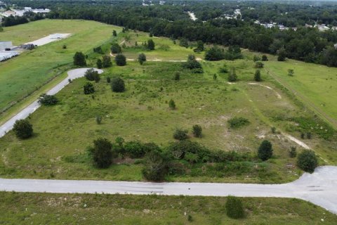 Terreno en venta en Ocala, Florida № 1868937 - foto 2