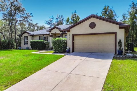 House in Citrus Springs, Florida 3 bedrooms, 190.91 sq.m. № 2393607
