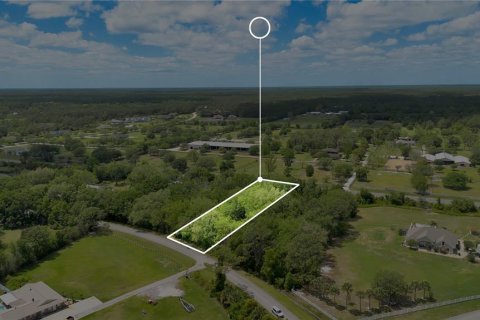 Land in Port Orange, Florida № 2115487