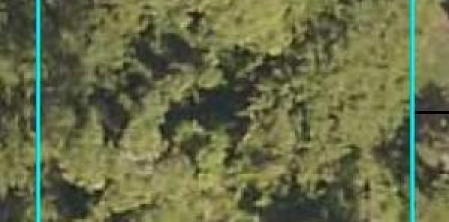 Land in Vero Beach, Florida № 1185149