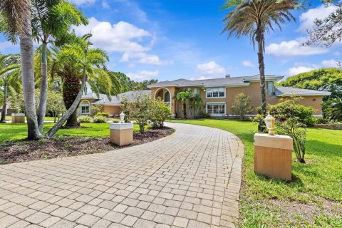 Villa ou maison à vendre à Tarpon Springs, Floride: 5 chambres, 465.81 m2 № 1845204 - photo 2