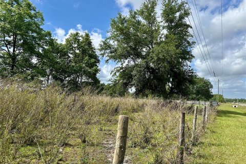 Land in Zolfo Springs, Florida № 1555504 - photo 12