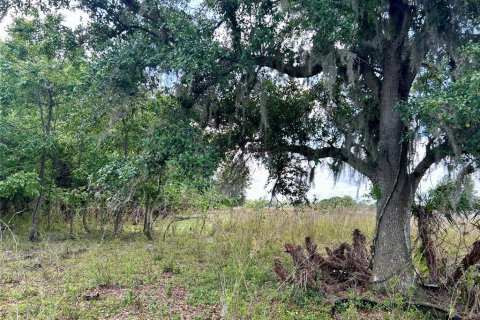 Land in Zolfo Springs, Florida № 1555504 - photo 9