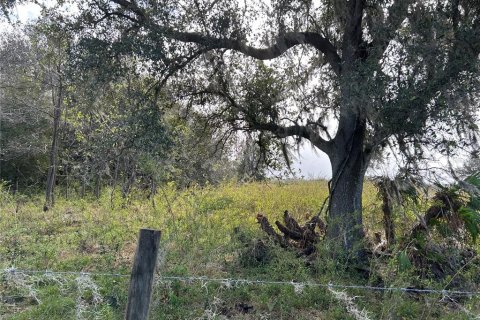 Land in Zolfo Springs, Florida № 1555504 - photo 5