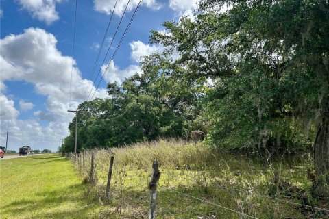 Land in Zolfo Springs, Florida № 1555504 - photo 14