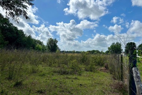 Land in Zolfo Springs, Florida № 1555504 - photo 7