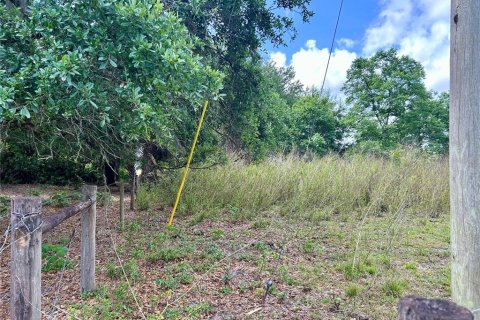 Land in Zolfo Springs, Florida № 1555504 - photo 11