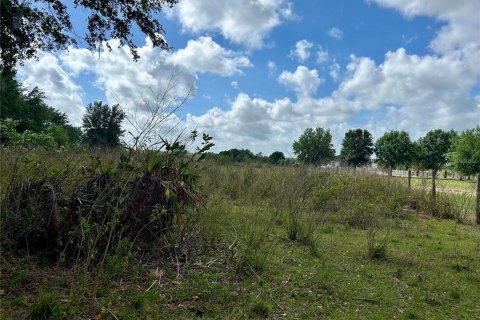 Land in Zolfo Springs, Florida № 1555504 - photo 8