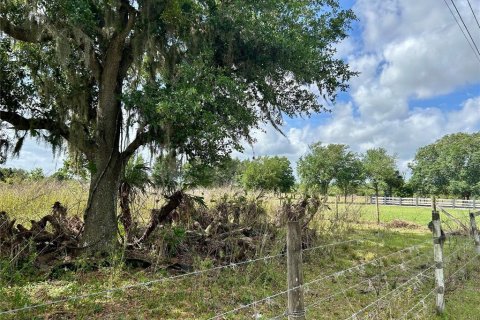 Land in Zolfo Springs, Florida № 1555504 - photo 13