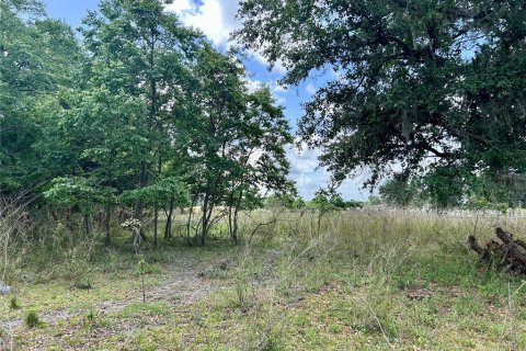 Land in Zolfo Springs, Florida № 1555504 - photo 10