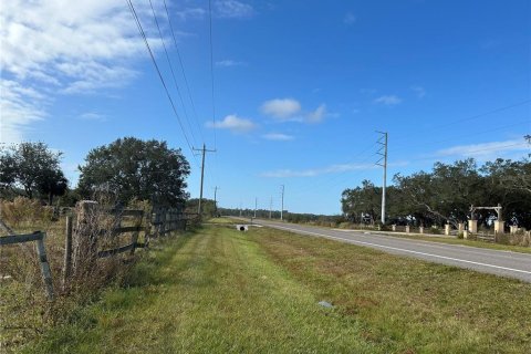 Land in Zolfo Springs, Florida № 1555504 - photo 3