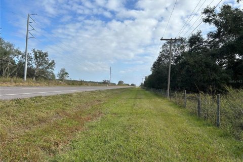 Land in Zolfo Springs, Florida № 1555504 - photo 6