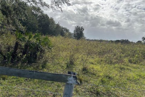 Land in Zolfo Springs, Florida № 1555504 - photo 4