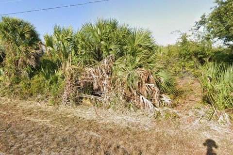 Land in Port Charlotte, Florida № 2162527 - photo 3