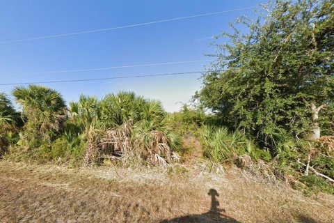 Land in Port Charlotte, Florida № 2162527 - photo 5