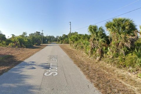 Land in Port Charlotte, Florida № 2162527 - photo 9