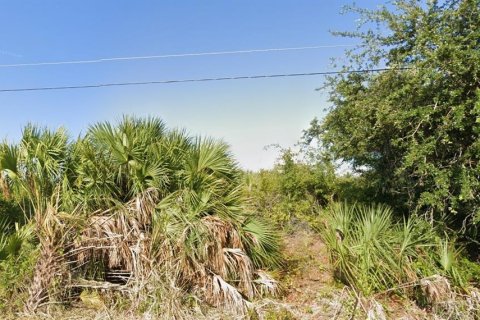 Land in Port Charlotte, Florida № 2162527 - photo 4