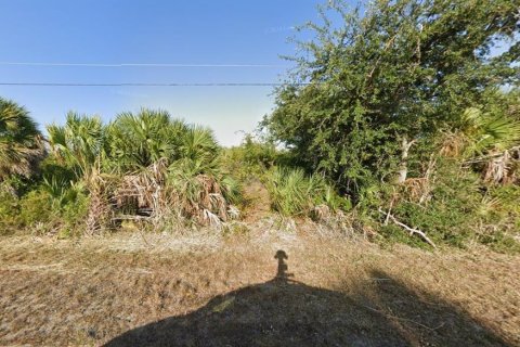 Land in Port Charlotte, Florida № 2162527 - photo 6
