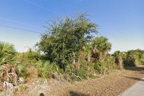 Land in Port Charlotte, Florida № 2162527 - photo 7