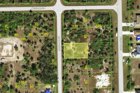 Land in Port Charlotte, Florida № 2162527 - photo 18
